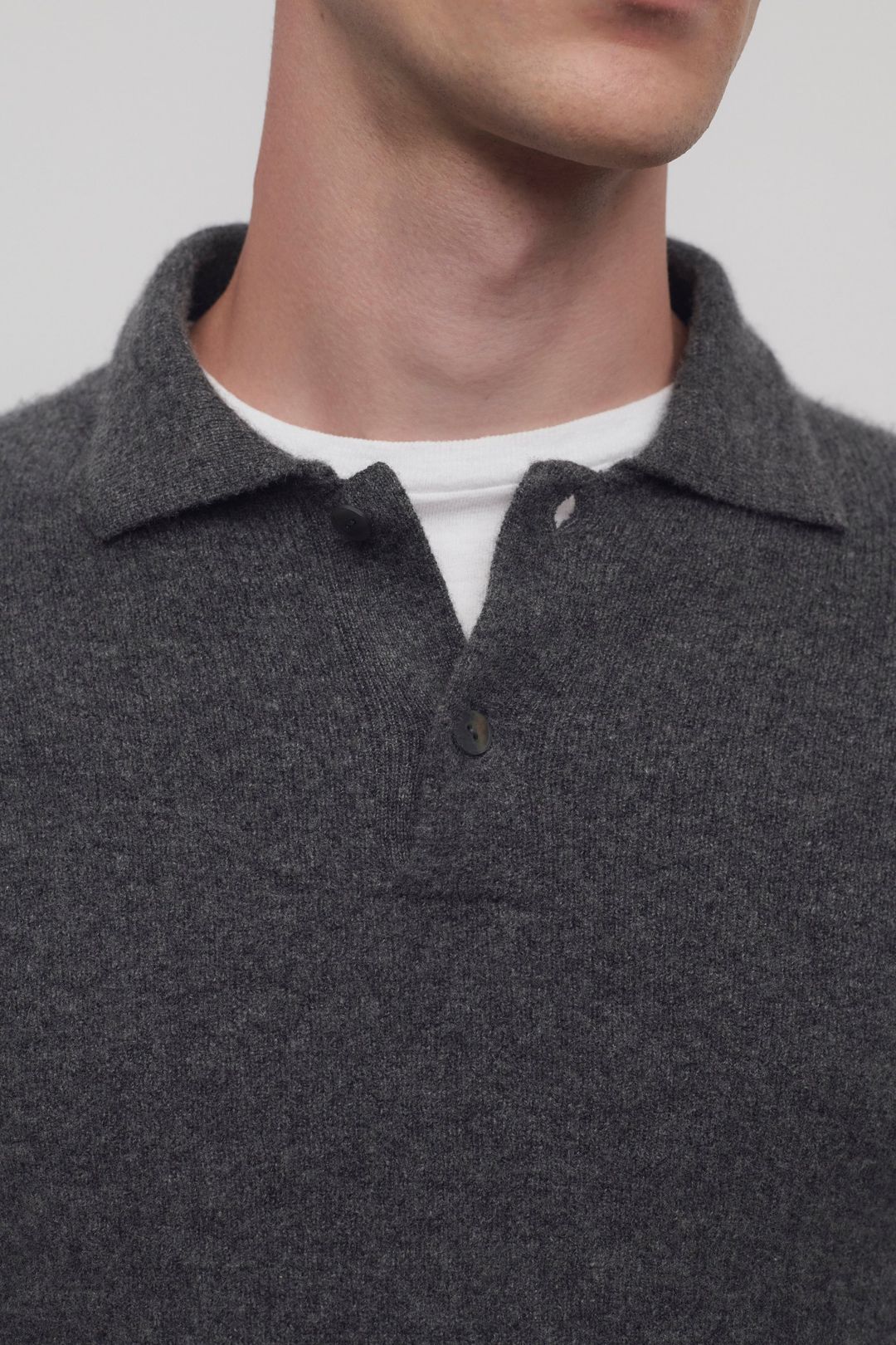 Tiger Polo #3