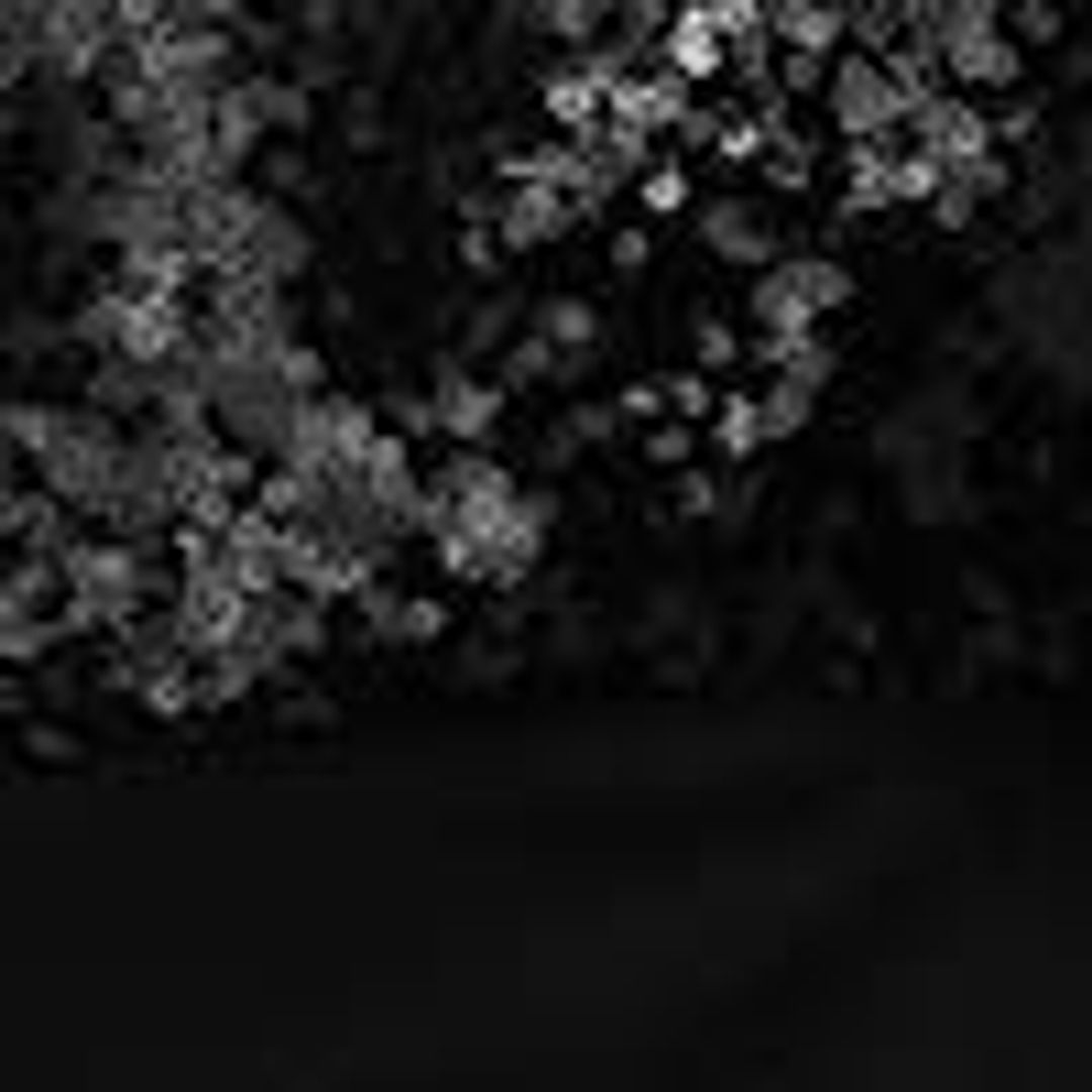 LONG SLEEVE MINI DOLCE DRESS | BLACK SEQUINS #7