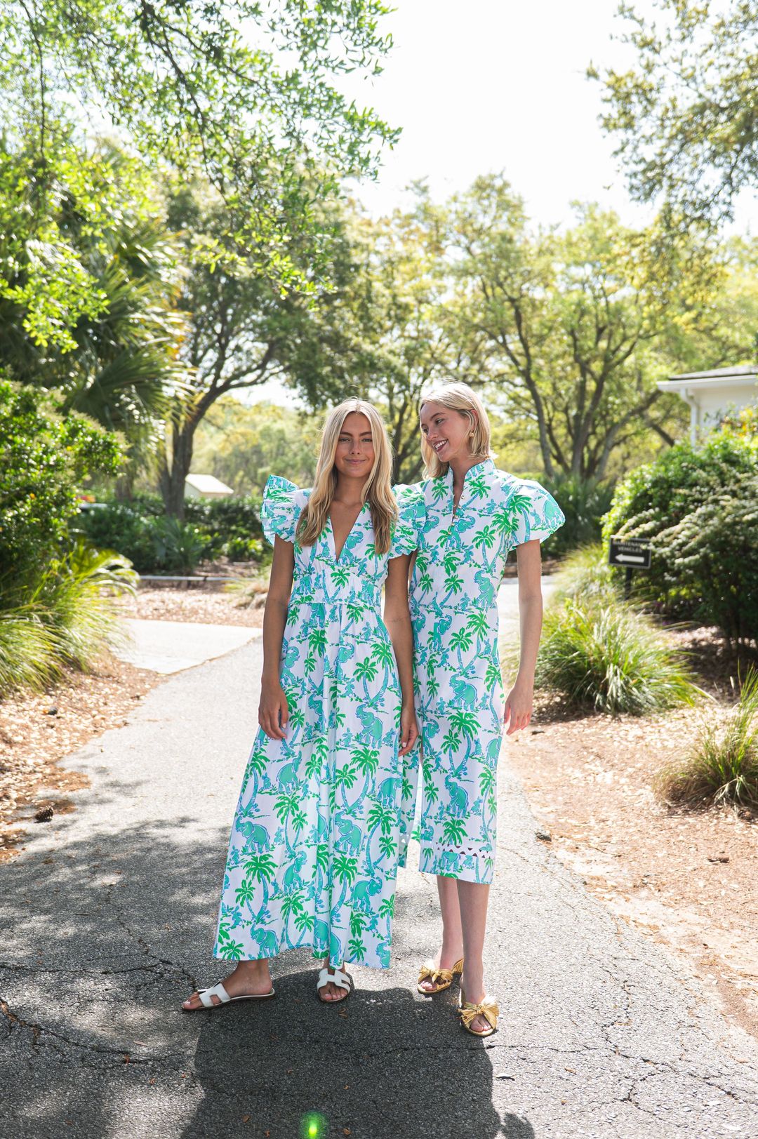 Elephant Print V-Neck Flutter Sleeve Maxi Dress #4