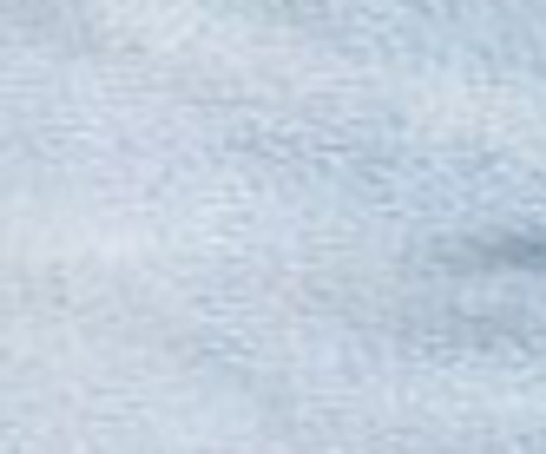 Dee Vintage High Rise Short in Muse #6