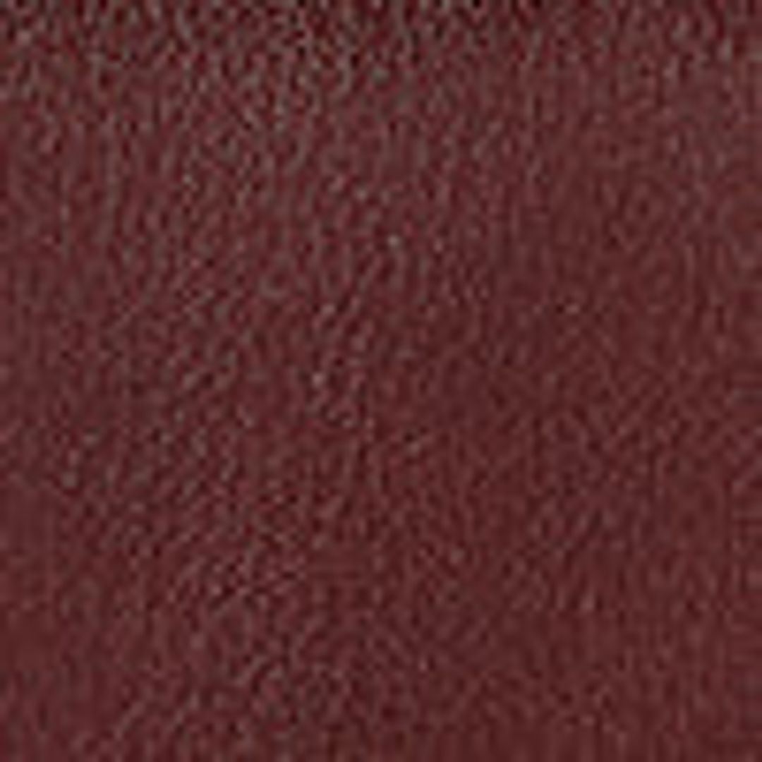 Sofia 8.75 Bag in Leather #5