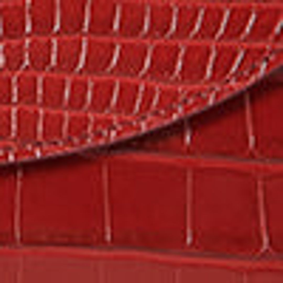 All In Wallet in Alligator #6