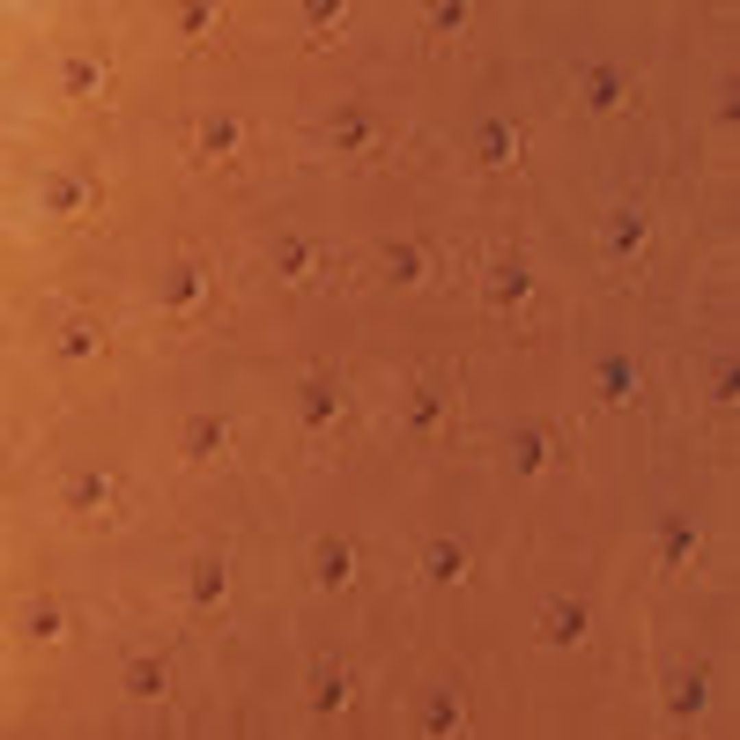 Alexia Bag in Ostrich #5
