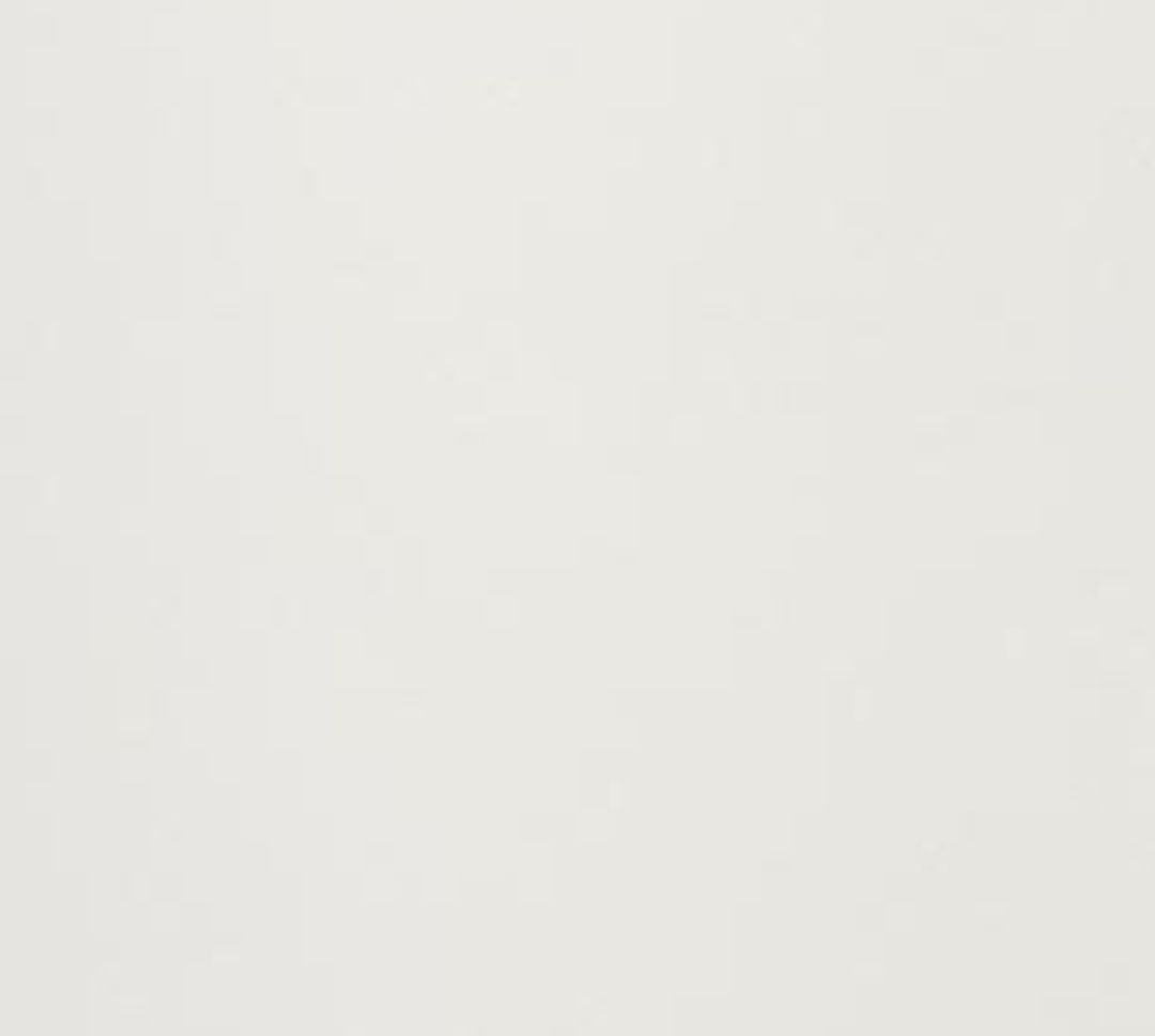 Lalisa Skirt in Chalk #8