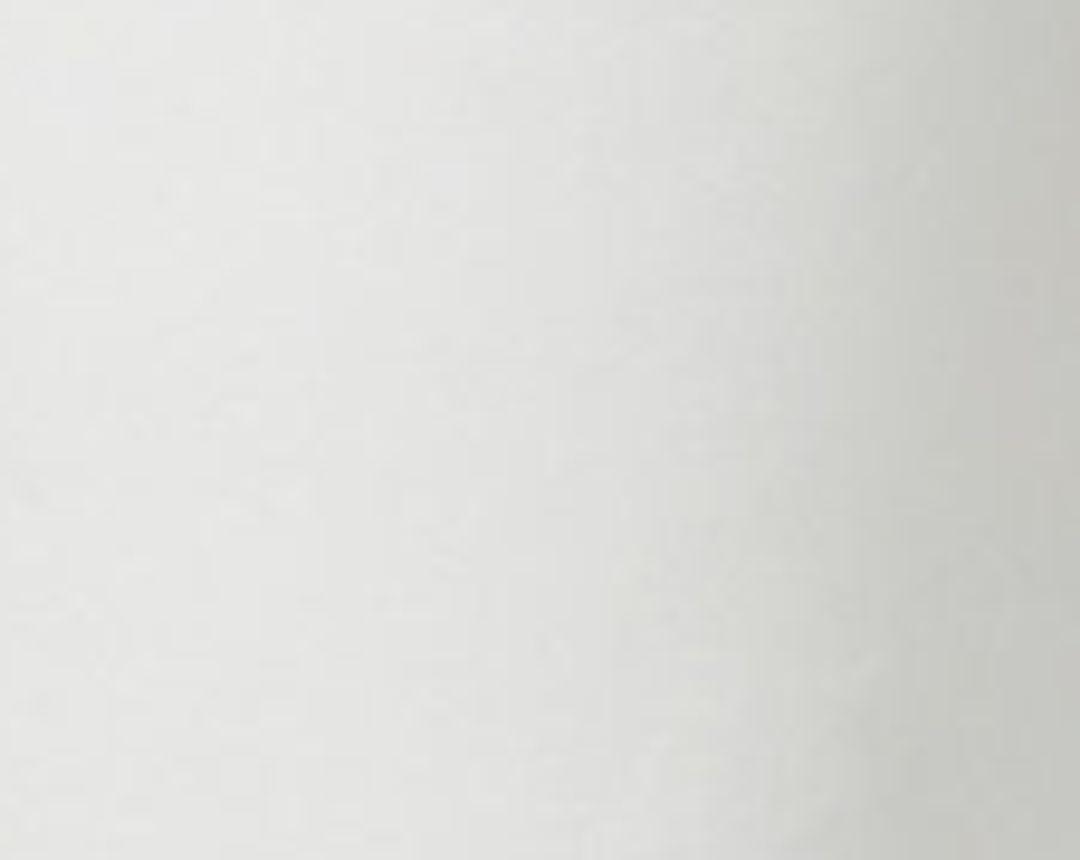 Recycled Leather 90's Pinch Waist in Lace #6