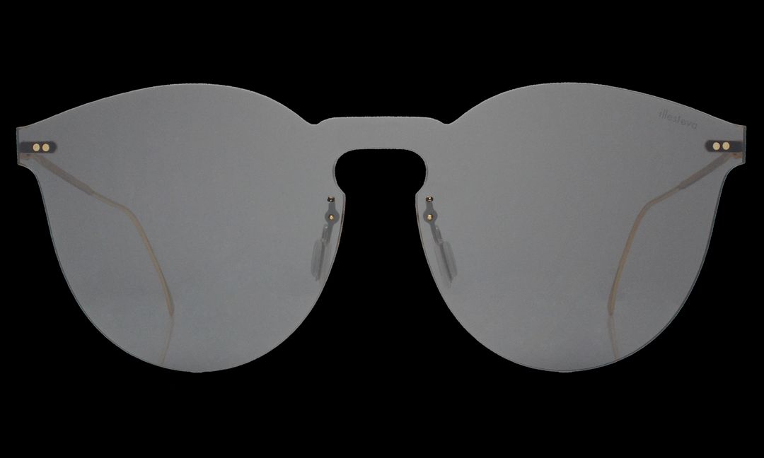 Leonard II Mask Sunglasses #14