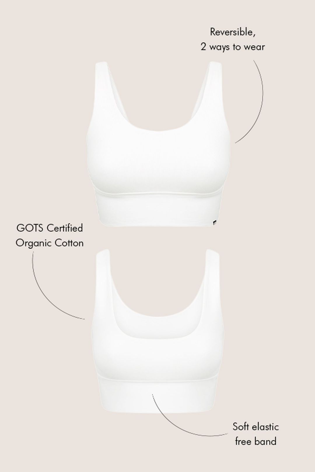 HARLOW ORGANIC COTTON LONGLINE CROP - IVORY RIB #5