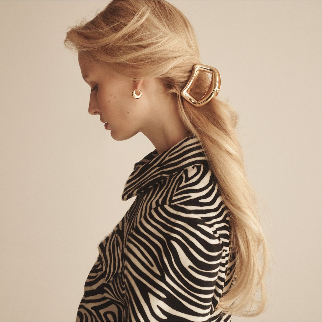 robbie metal hair clip