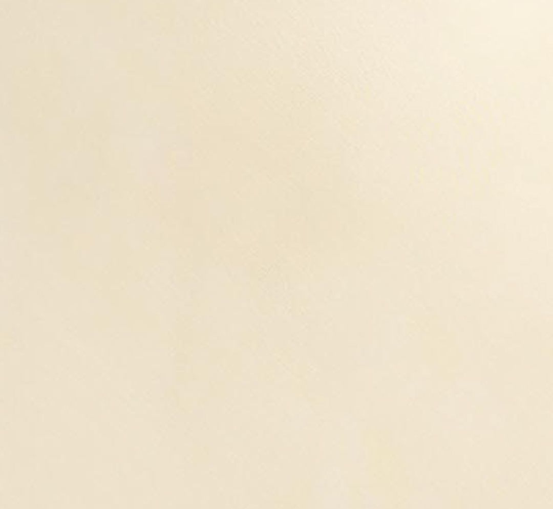 Monina Skirt in Cream #7