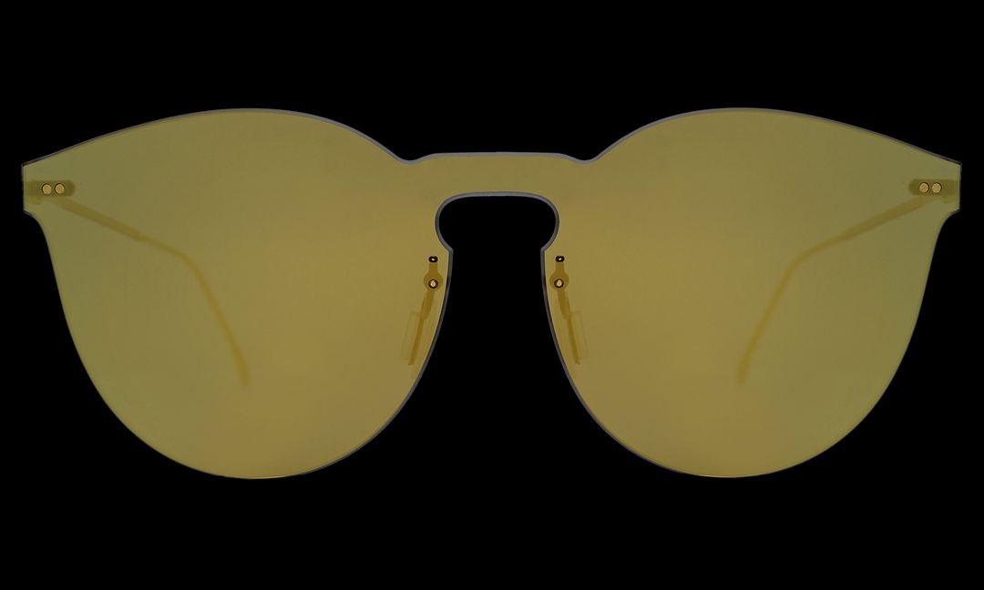 Leonard II Mask Sunglasses #16