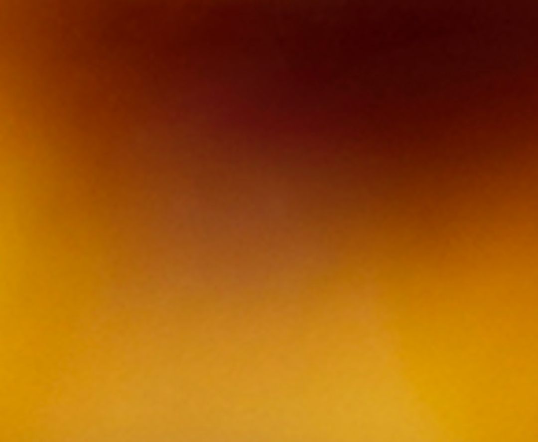 KHAITE x Oliver Peoples 1961C in Dark Mahogany and Brown #5