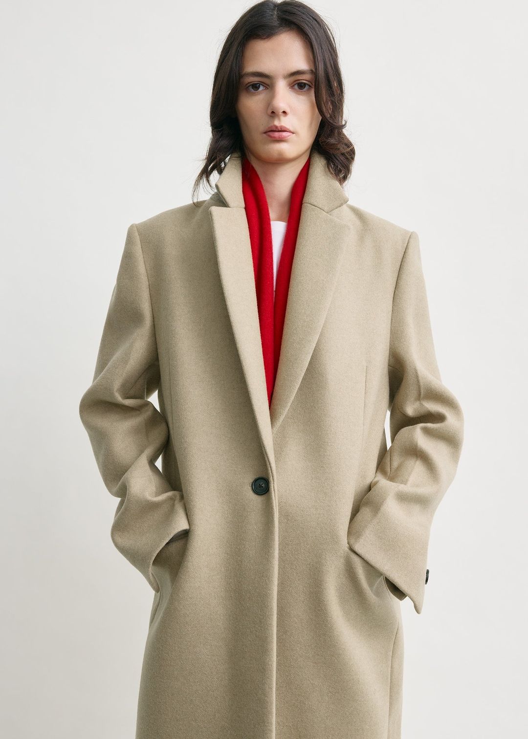 Classic winter coat biscuit #4