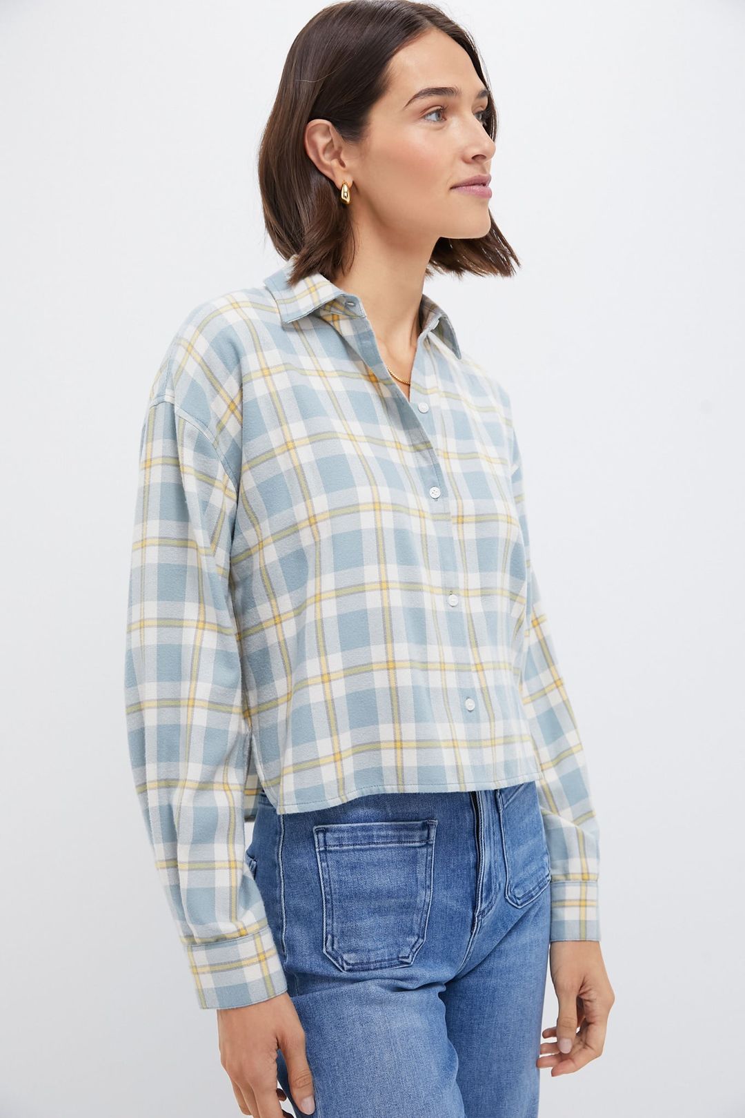 Blue Plaid Flannel Cropped Jasper Button Down #3
