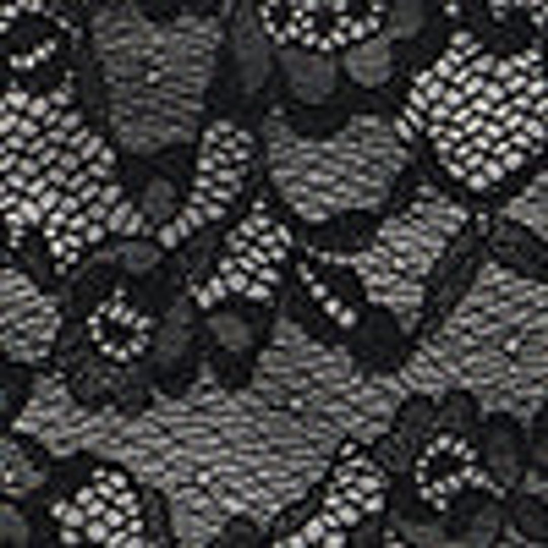 Abbey Brief in Lace #3