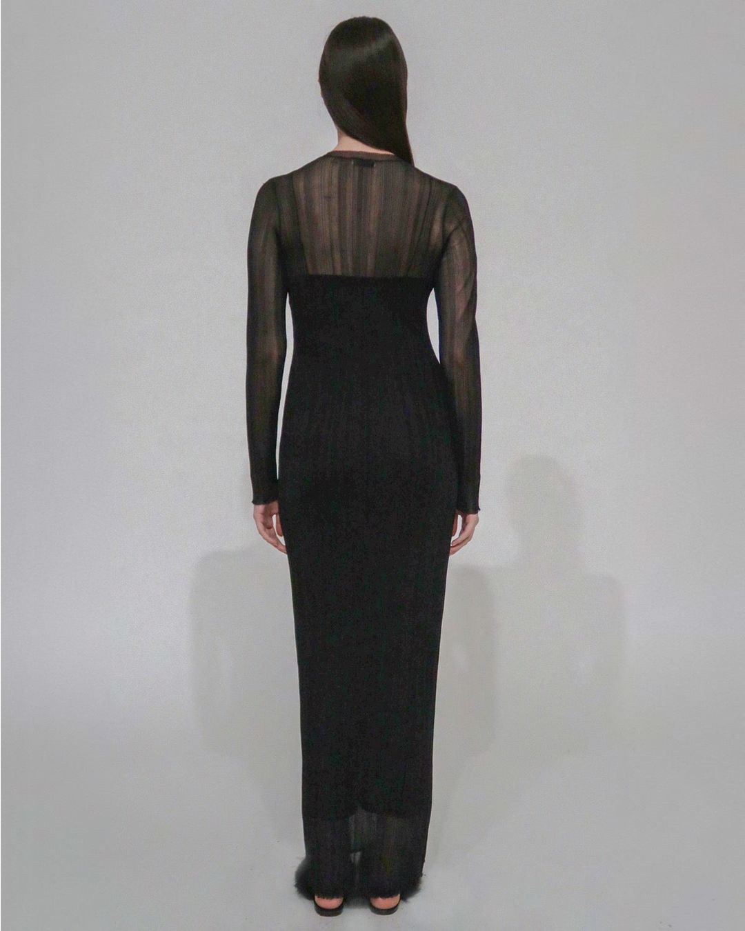 SHEER PLISSE LONG SLEEVE DRESS #3