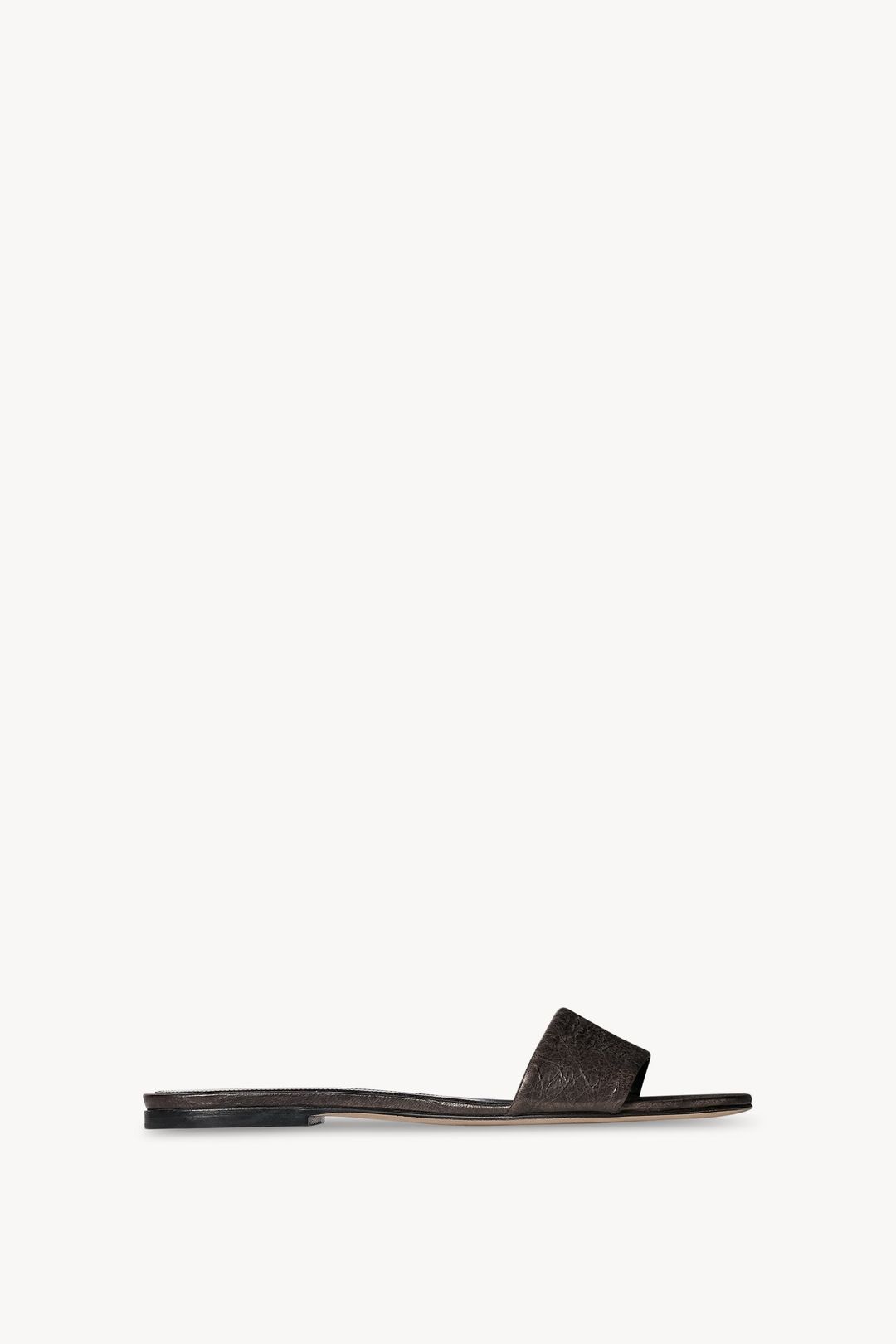 Ann Slide
