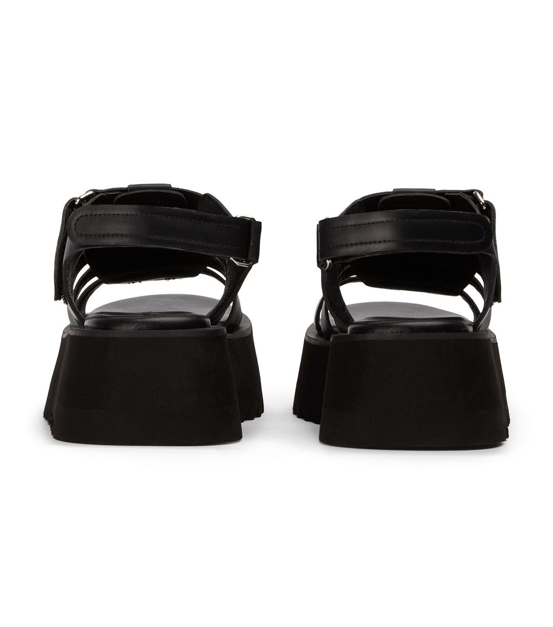 Scout Black Turin #5