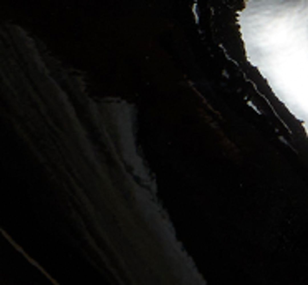 The Fawn Low Pump in Black Patent Leather #6