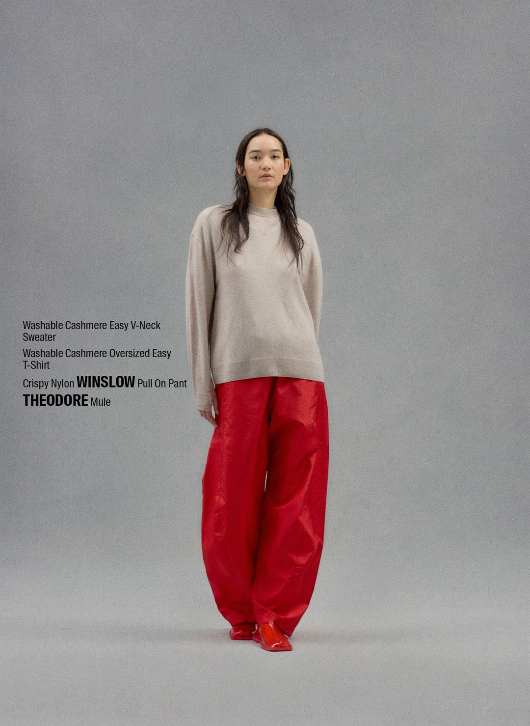 Crispy Nylon Winslow Pant #2