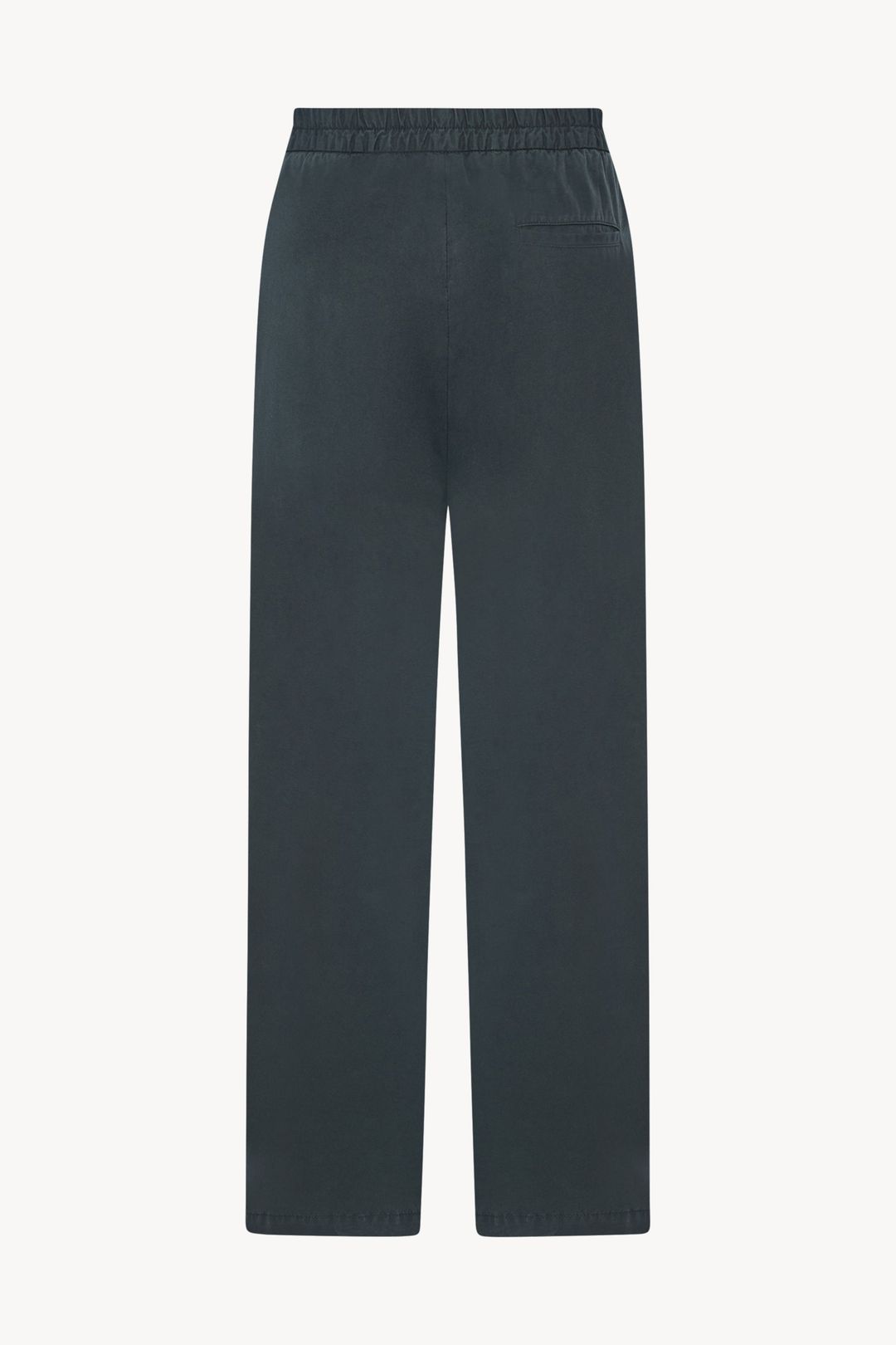 Ari Pant #2