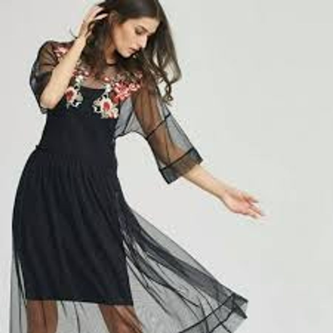 Sheer Embroidered Mesh Dress