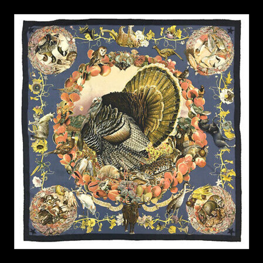 HERMES FAUNE ET FLORE DU TEXAS WILDLIFE Scarf