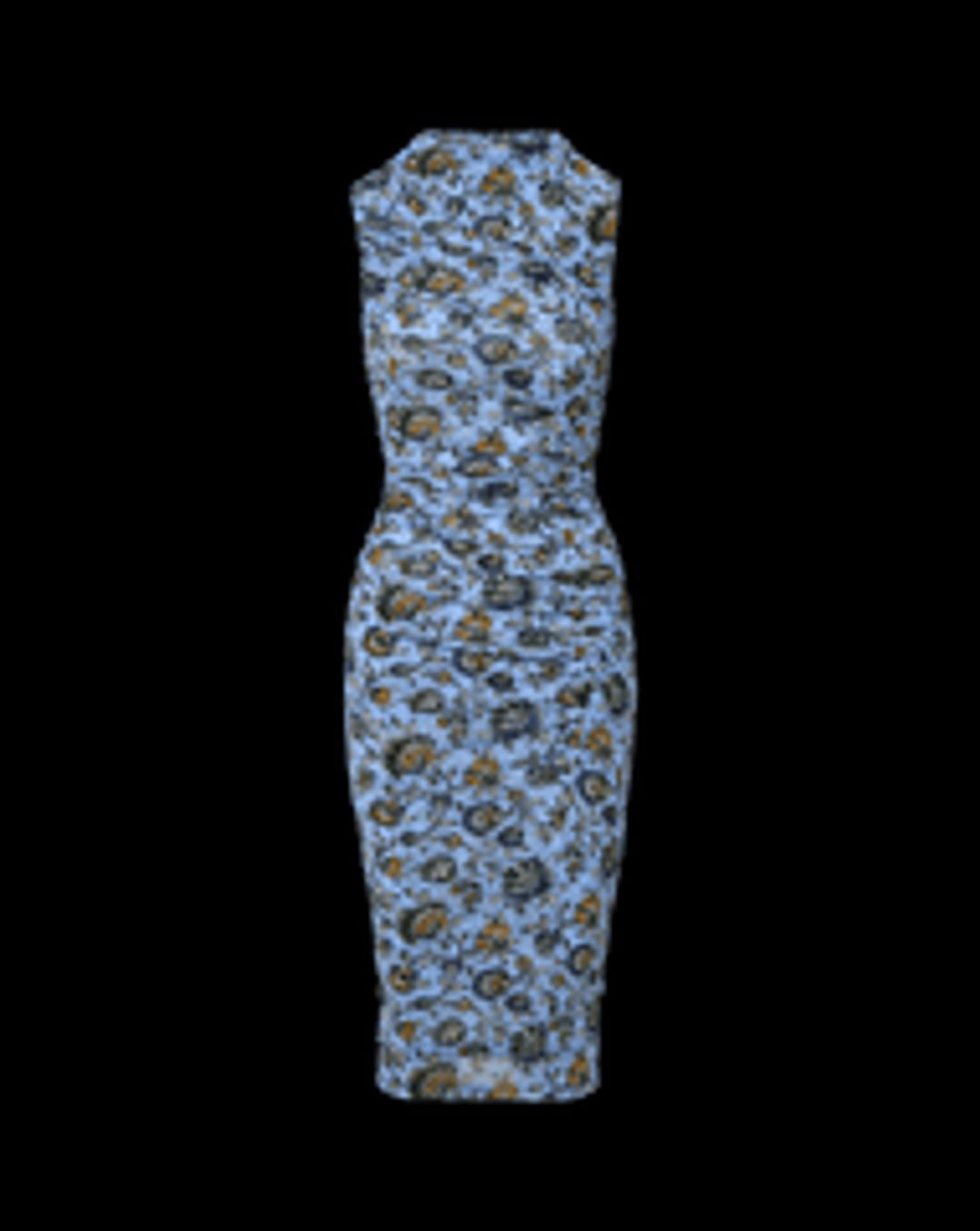 Sylviani Floral Midi Dress