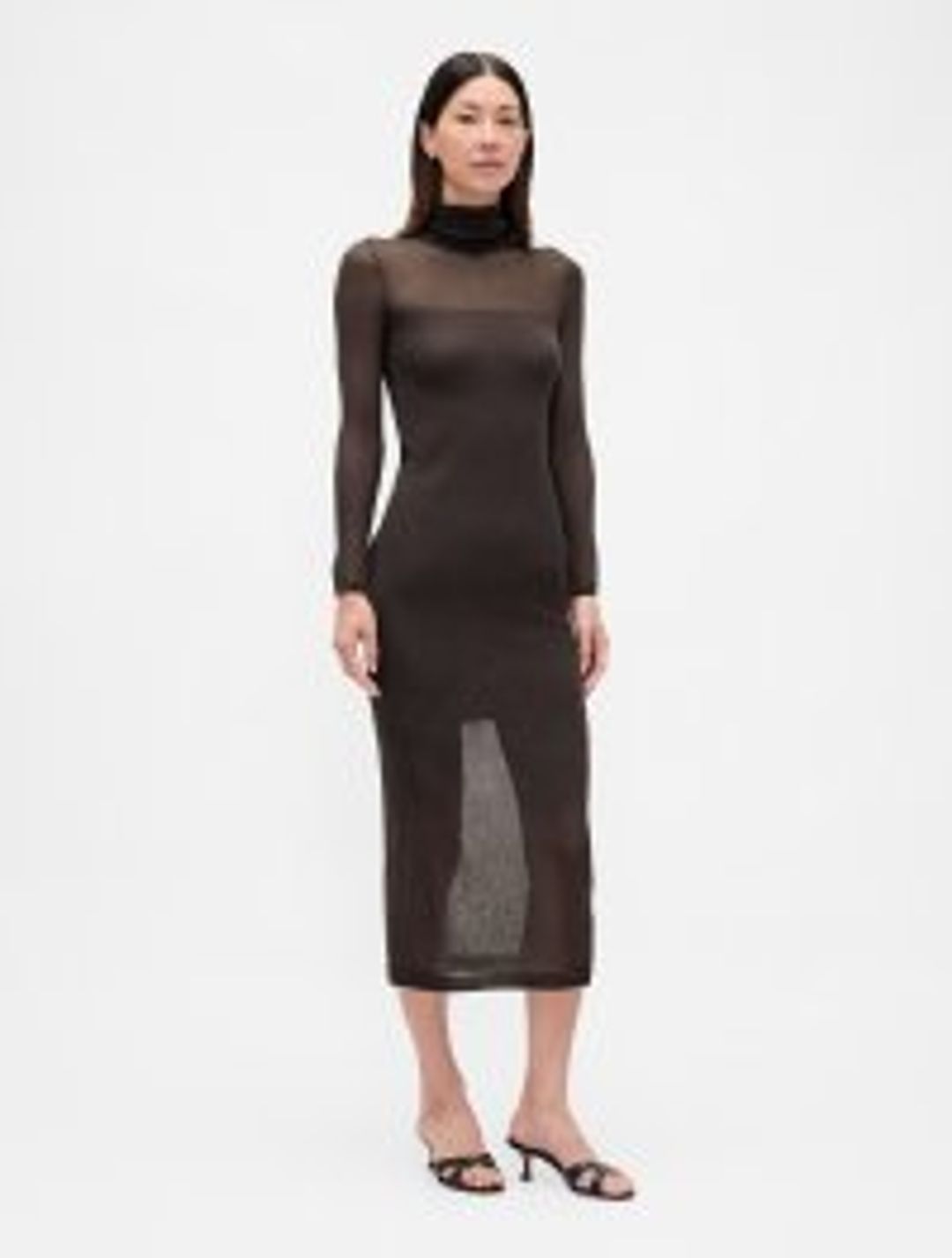 Sheer Turtleneck Maxi Sweater Dress