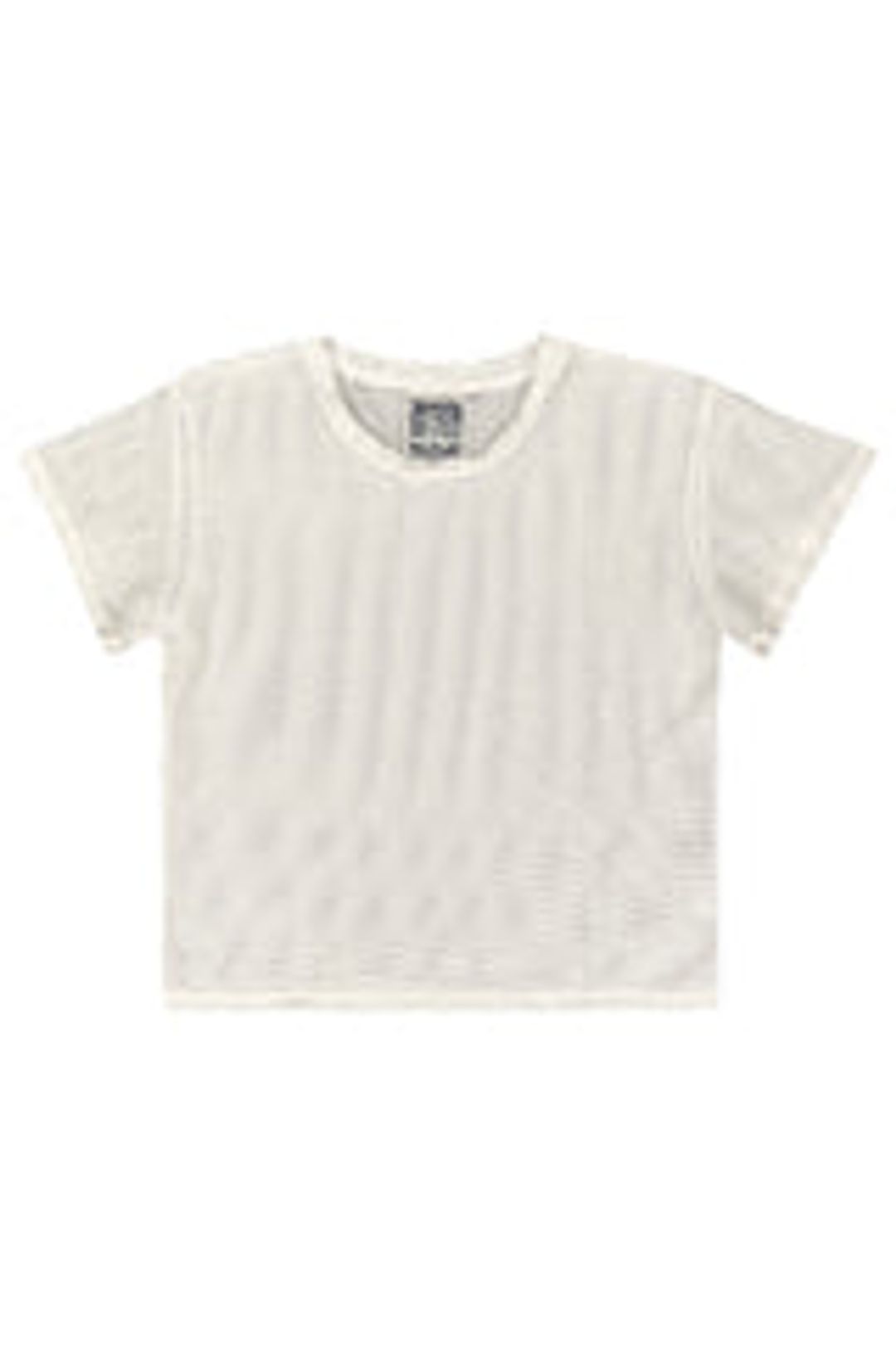 Carmen Mesh Cropped Tee