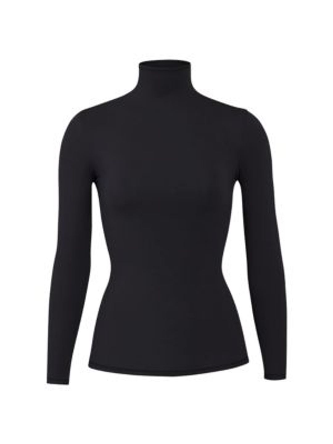 Fits Everybody Turtleneck Top #2