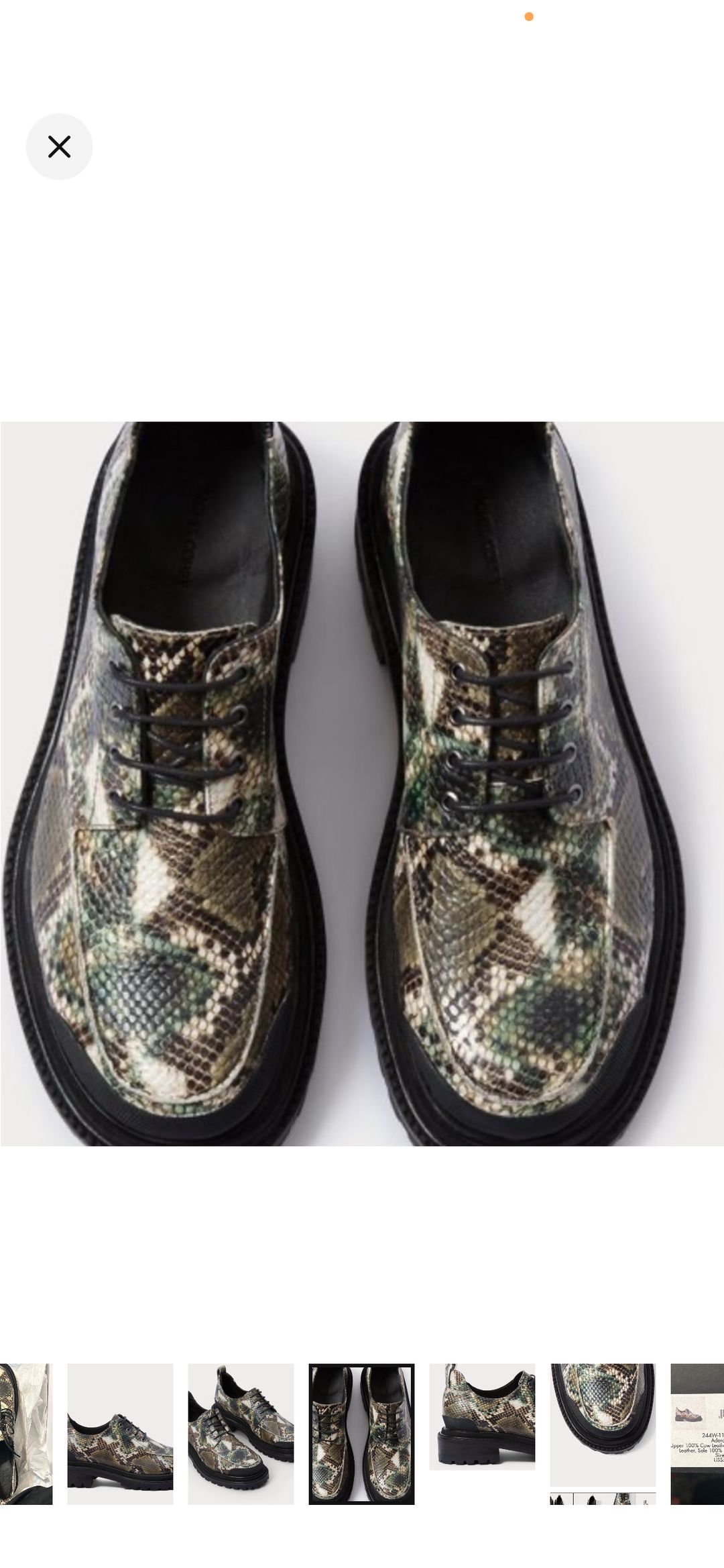 NIB Rachel Comey Snake print lace up loafers , size 8