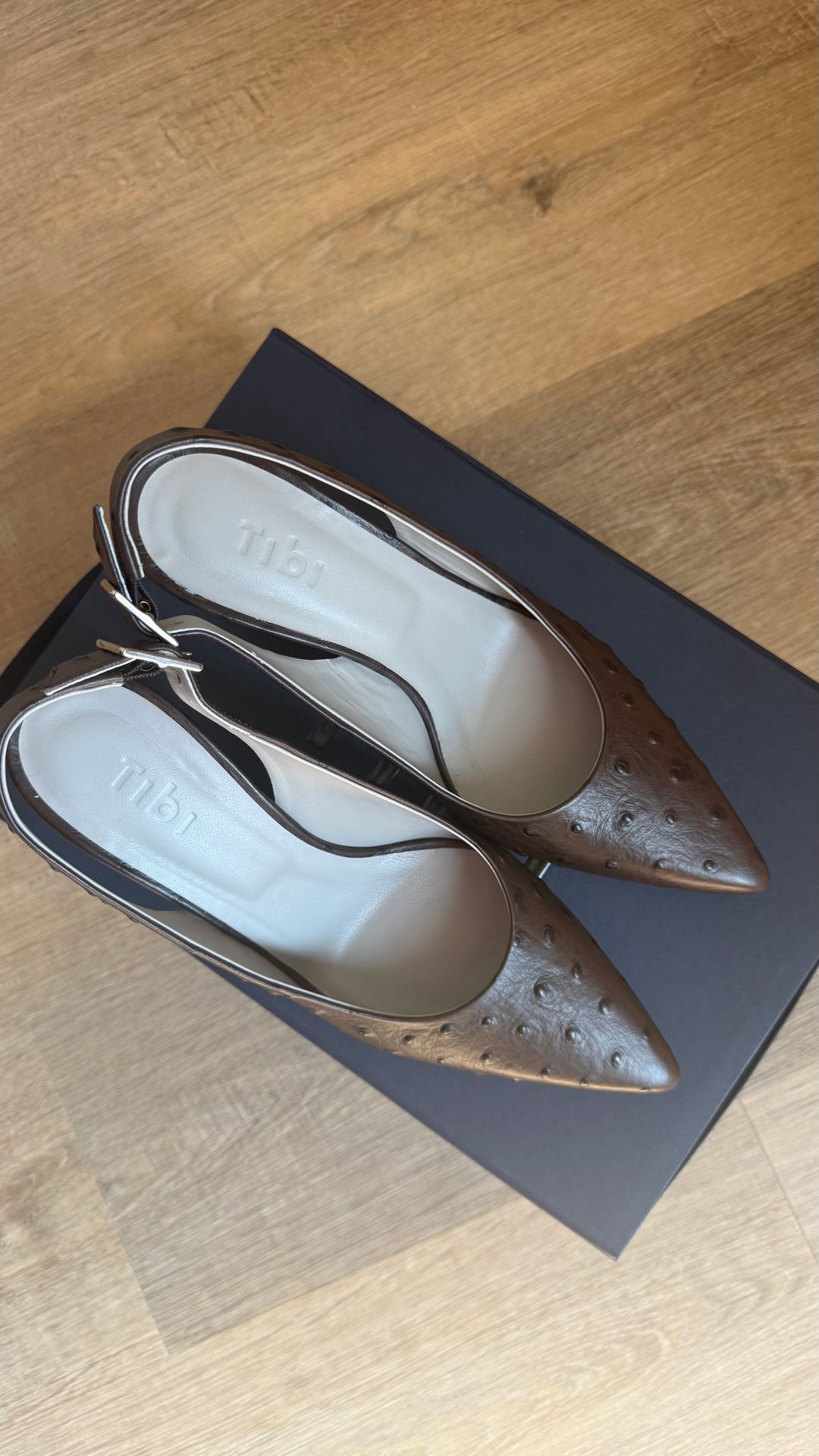 Ostrich Print Reyner Pump