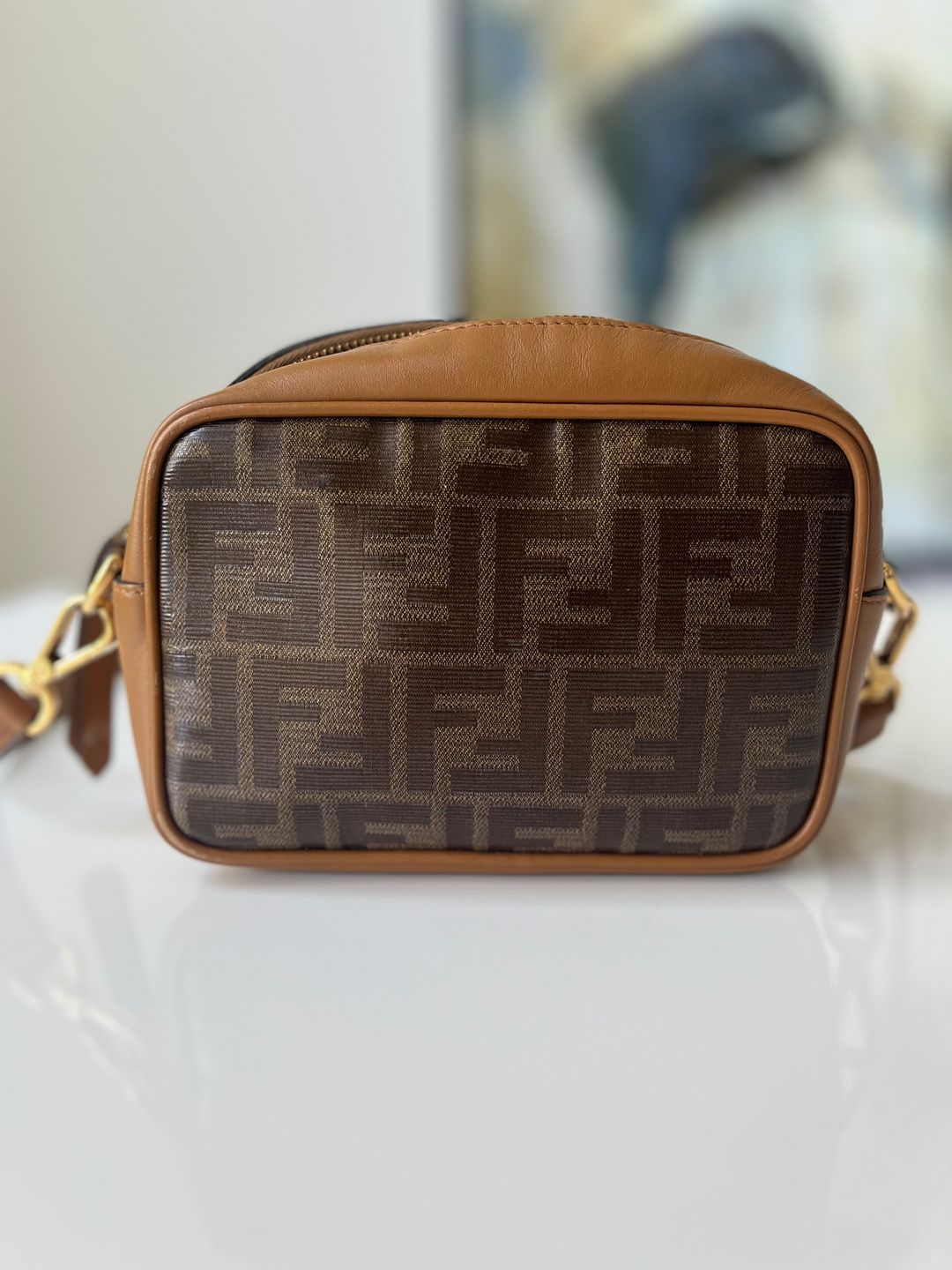 Fendi FF Logo Stamp Camera Bag Zucca Coated Canvas Small