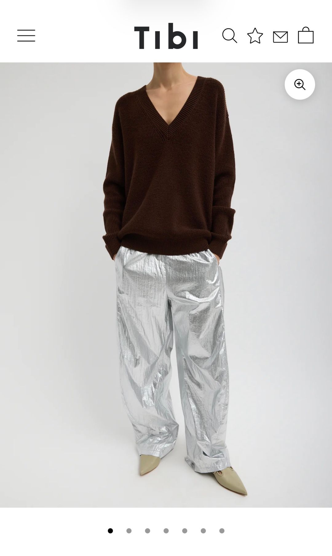 Silver Metallic Nylon Winslow Pant