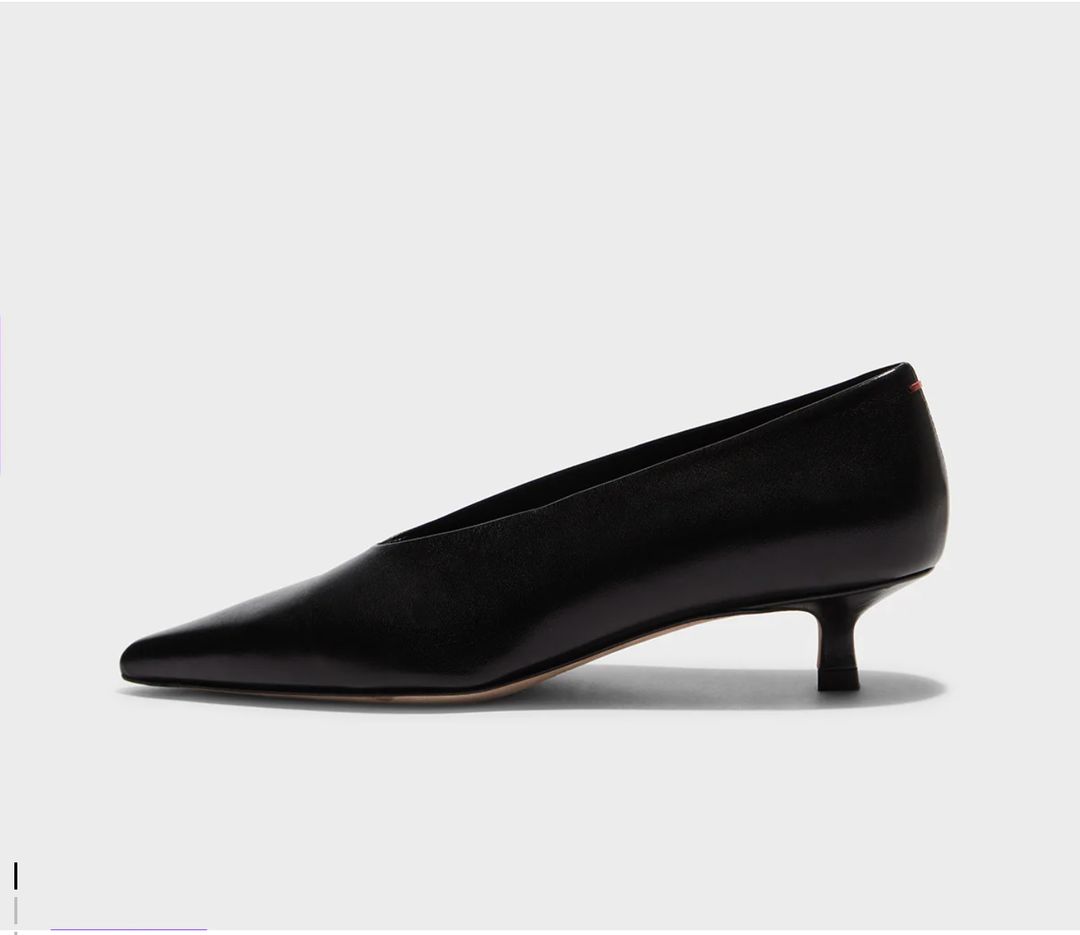 Clara Pointed Toe Pumps
