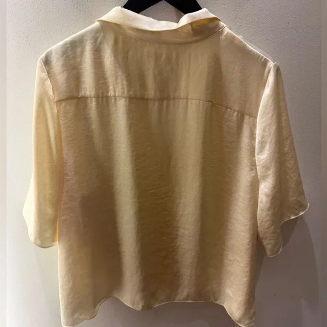 NWT Aritzia beso satin shirt