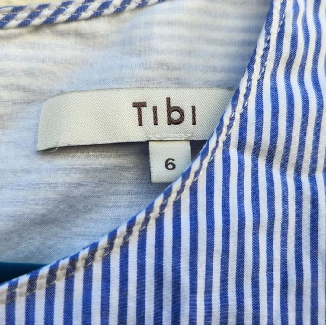 Tibi Elliot Stripe Trapeze Dress In Blue Multi